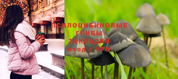 a pvp Богородск