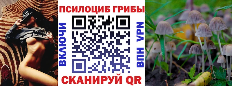 цены   Светлый  blacksprut онион  Псилоцибиновые грибы Psilocybine cubensis 